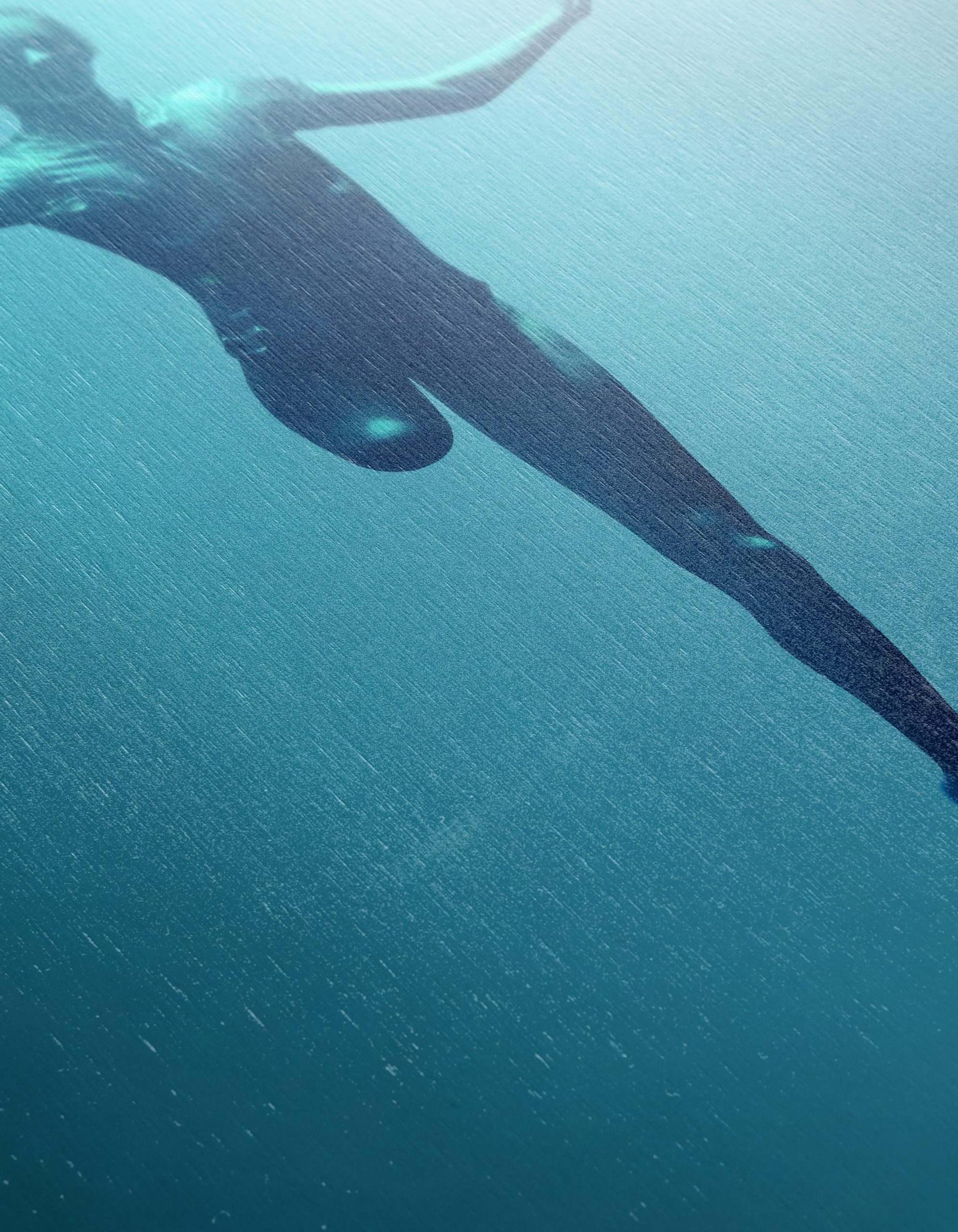 Rising Phoenix Underwater Art - Image 12
