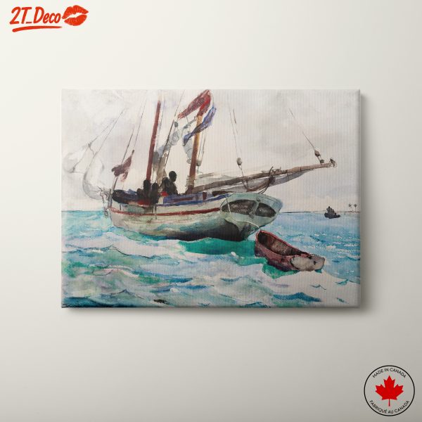 Sailing Through Tranquil Waters
