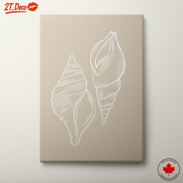 Elegant Botanical Seashell Illustrations