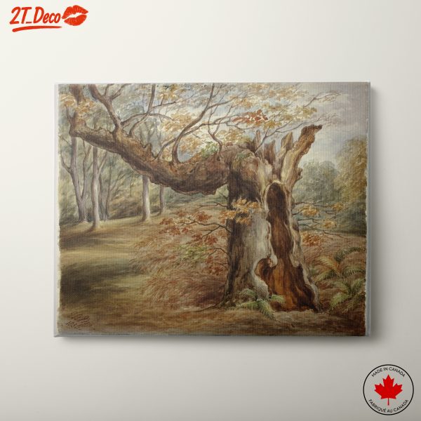 Enchanting Nature Landscape with Majestic Tree