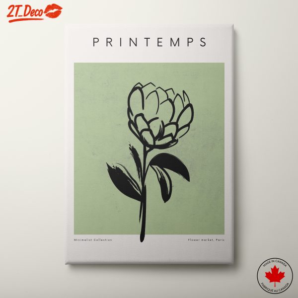 Minimalist Floral Illustration from Paris