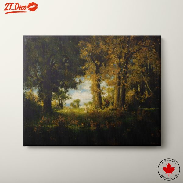 Serene Forest Scene with Lush Trees