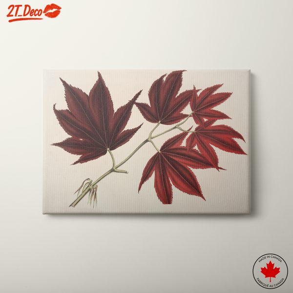 Stunning Red Maple Leaves Art