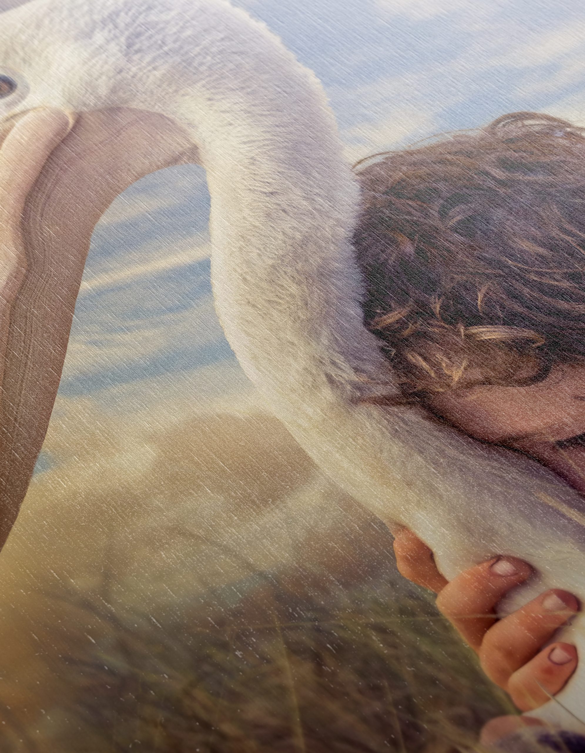 Heartwarming Bond Between Child and Pelican - Image 12