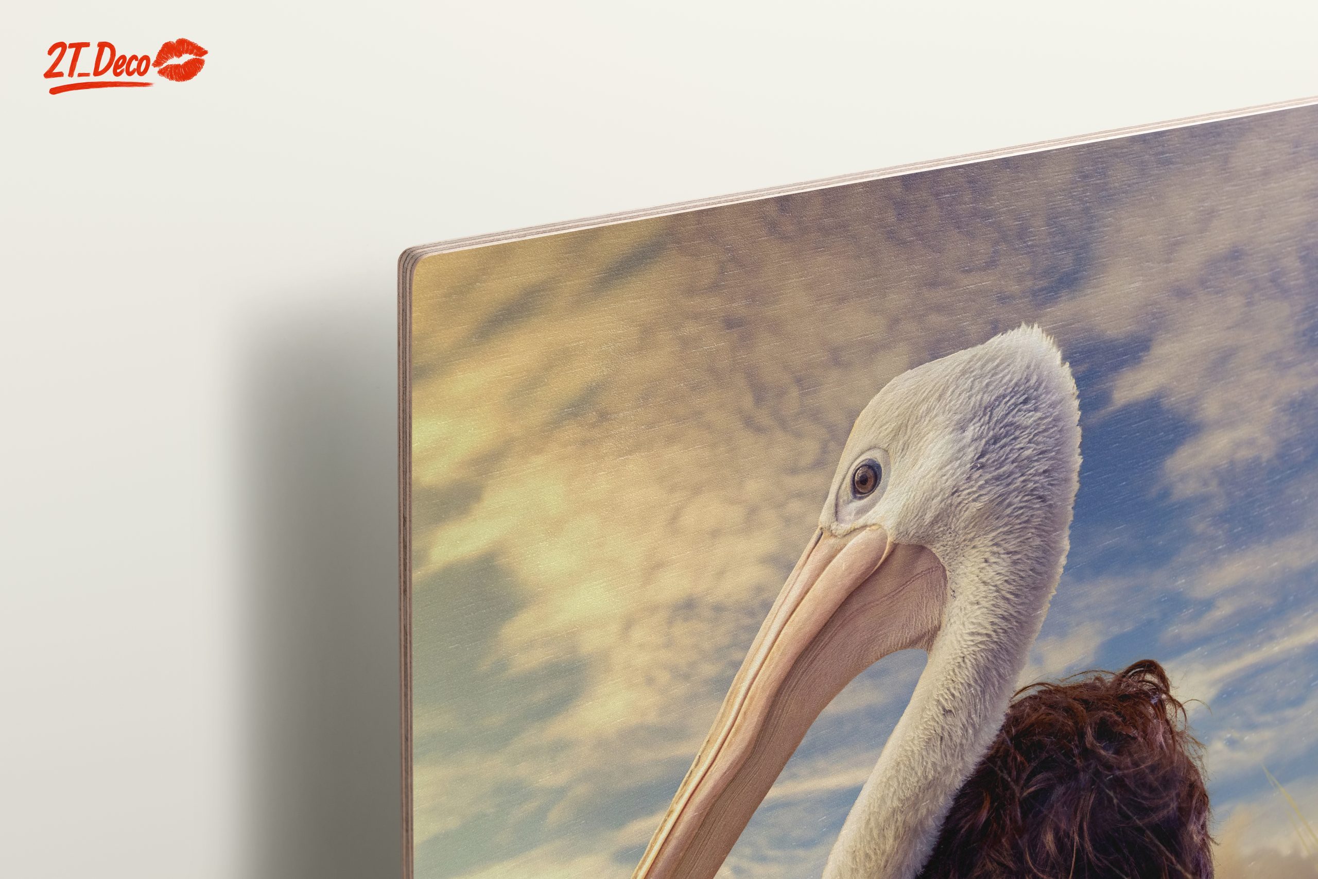 Heartwarming Bond Between Child and Pelican - Image 15