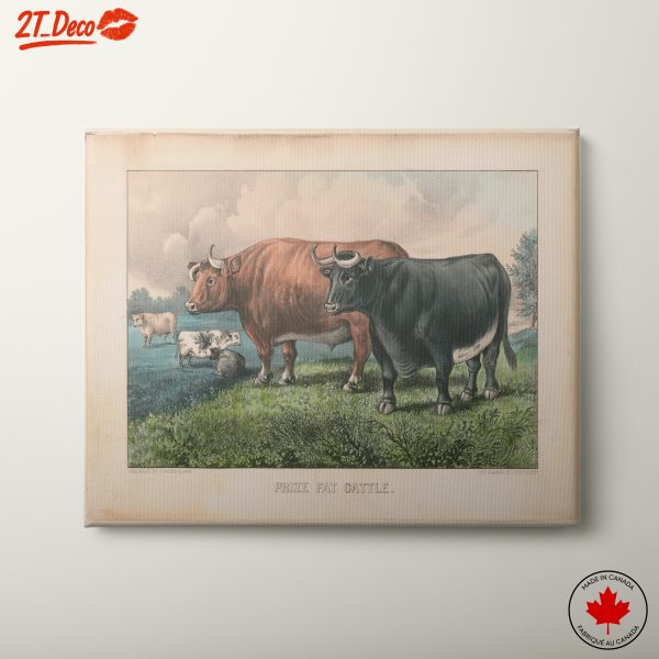 Prize Fat Cattle Wall Art