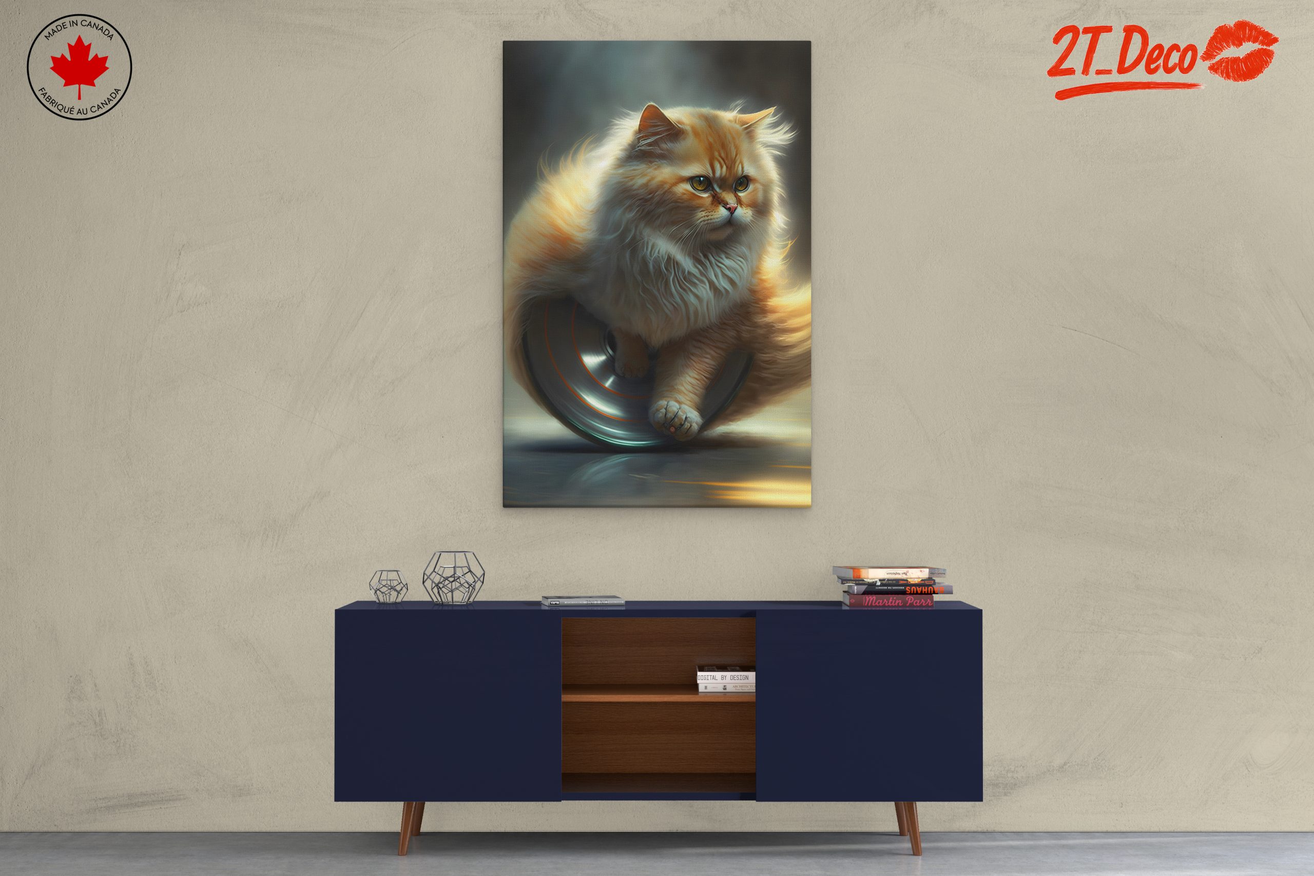 Fluffy Cat on a Silver Wheel - Image 3