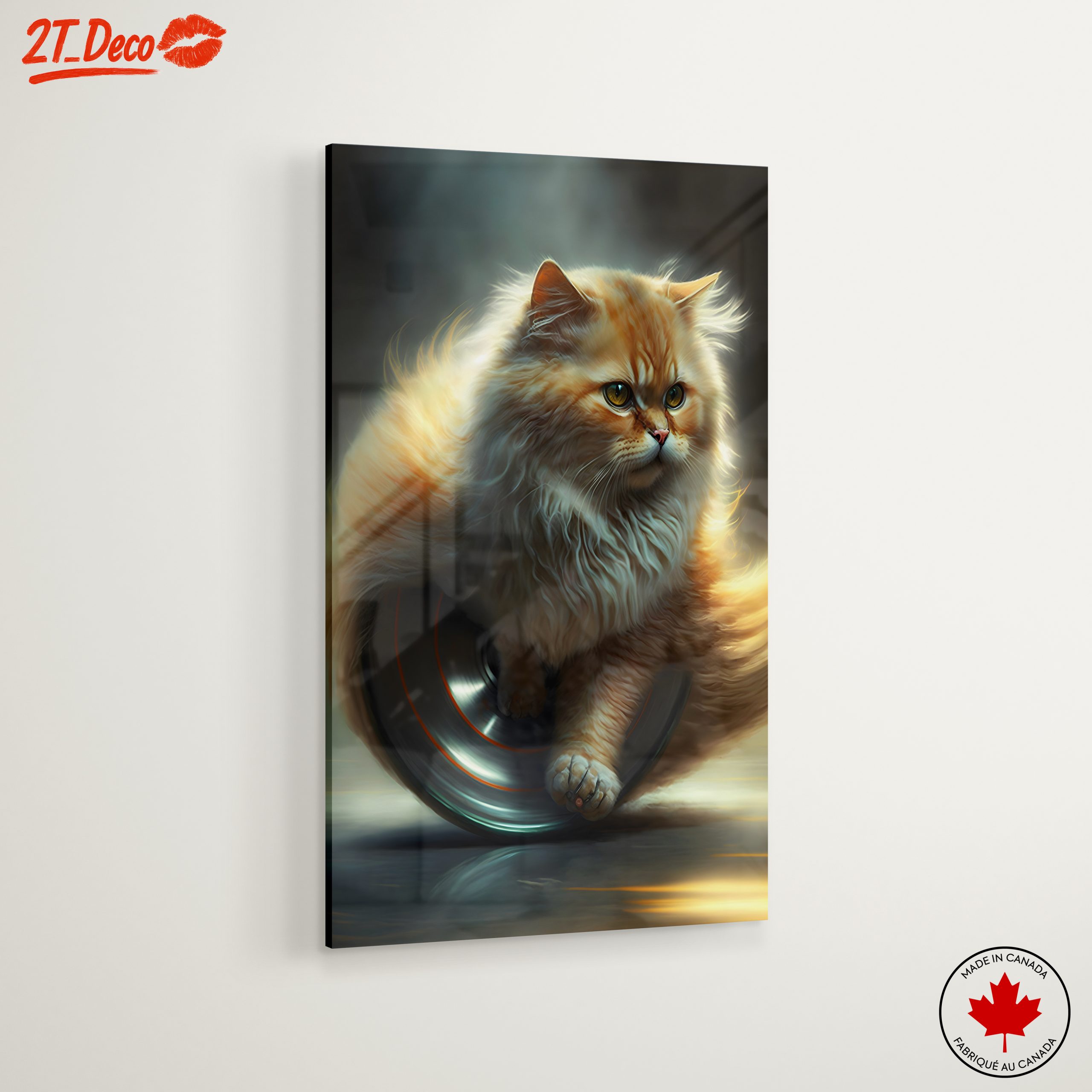 Fluffy Cat on a Silver Wheel - Image 6