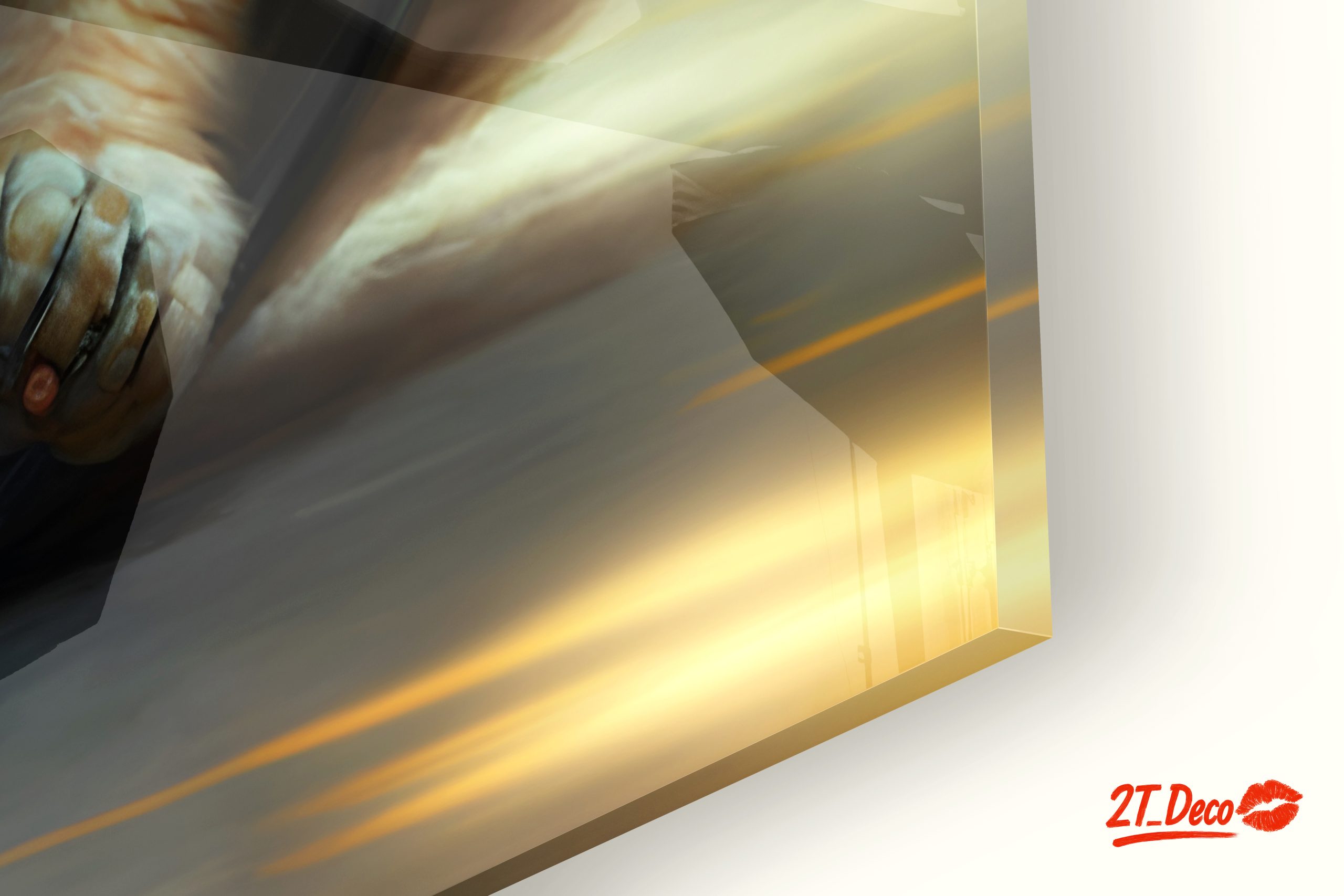 Fluffy Cat on a Silver Wheel - Image 9