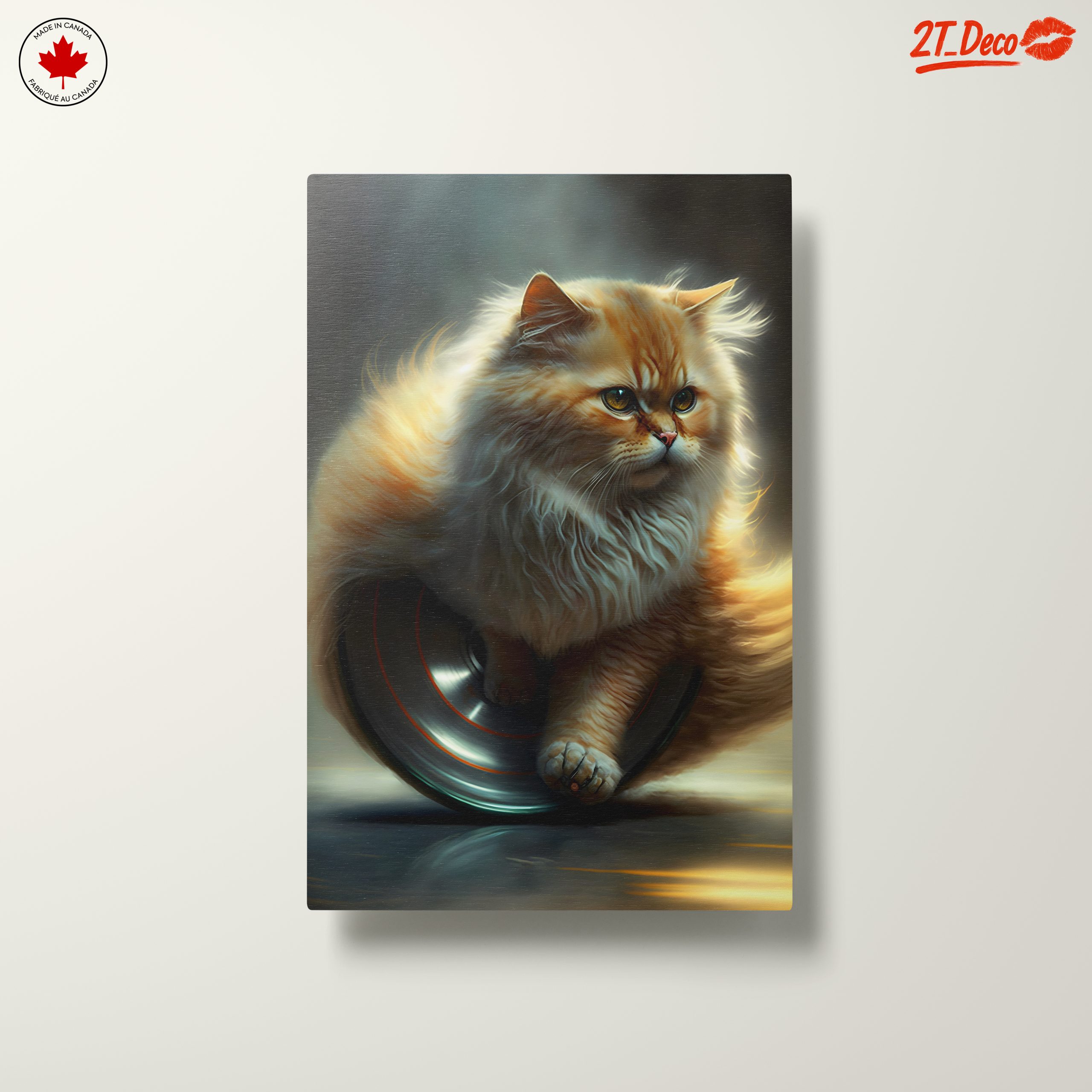 Fluffy Cat on a Silver Wheel - Image 10