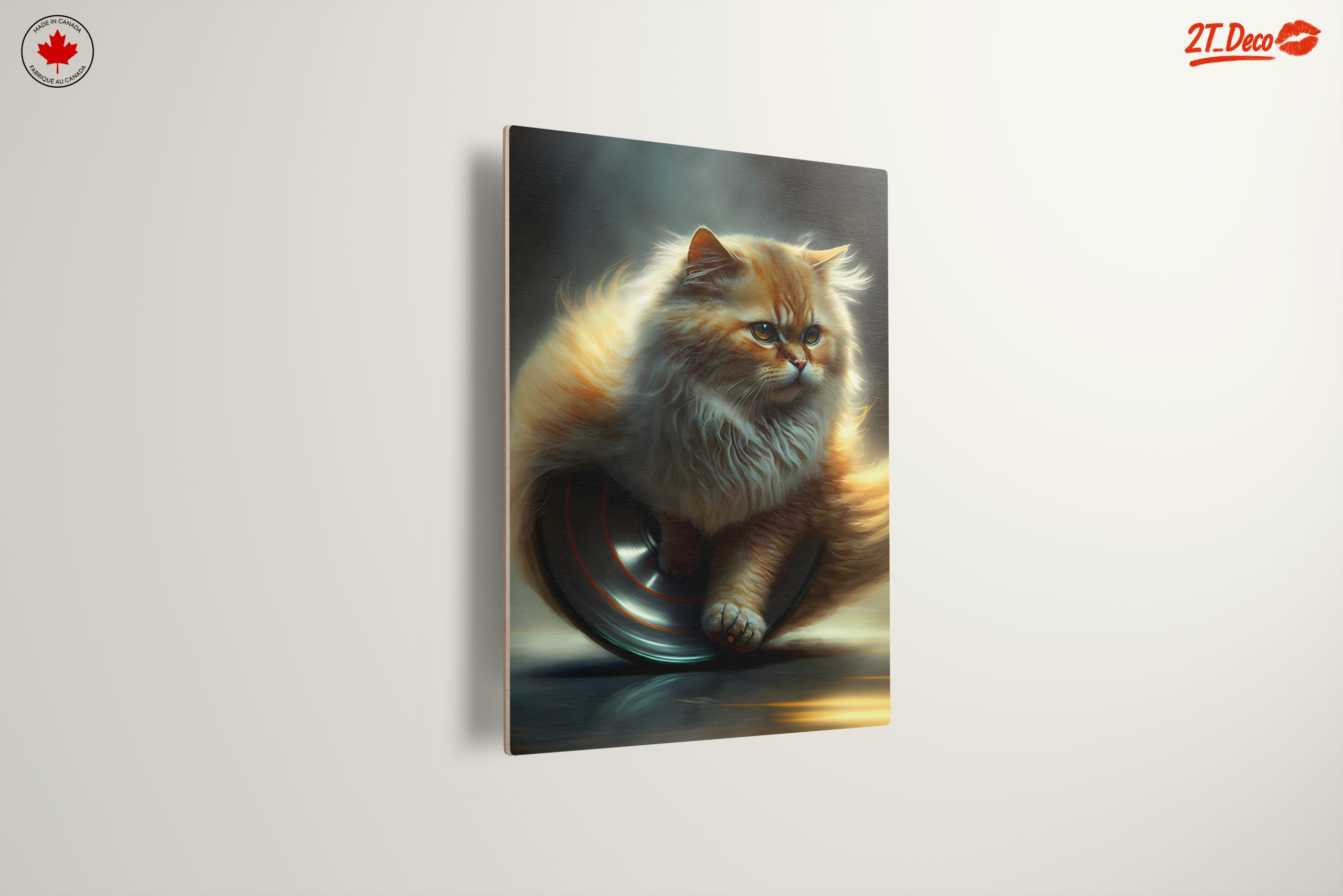 Fluffy Cat on a Silver Wheel - Image 13