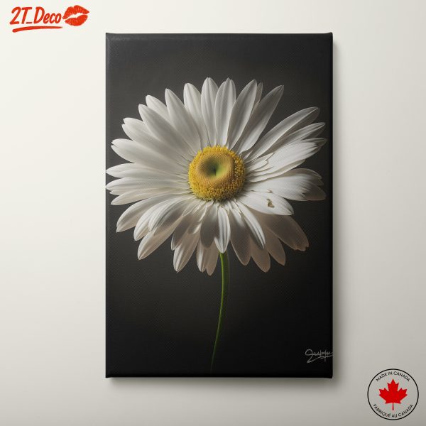 Elegant Floral Portrait Featuring a White Daisy
