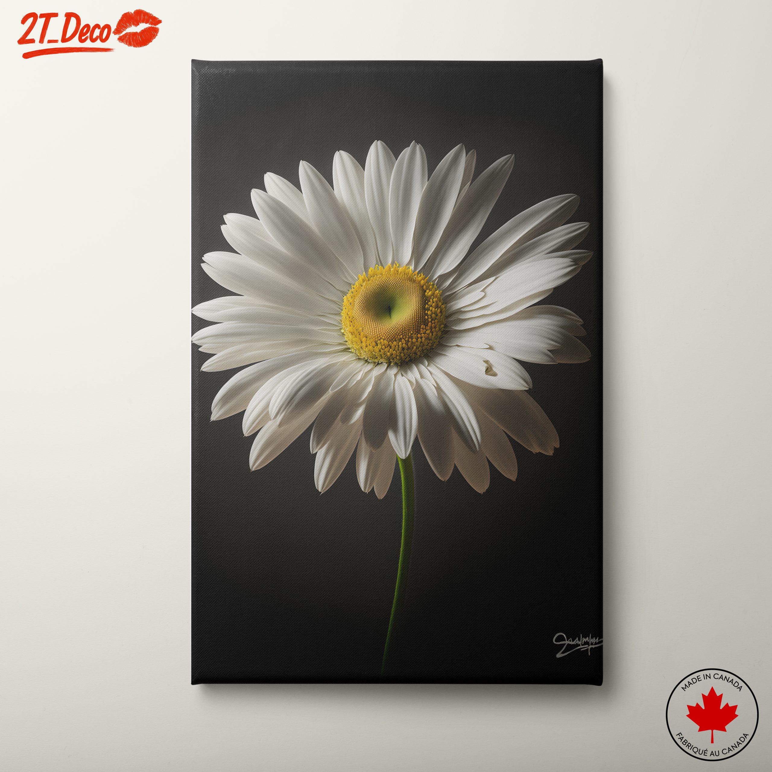 Elegant Floral Portrait Featuring a White Daisy