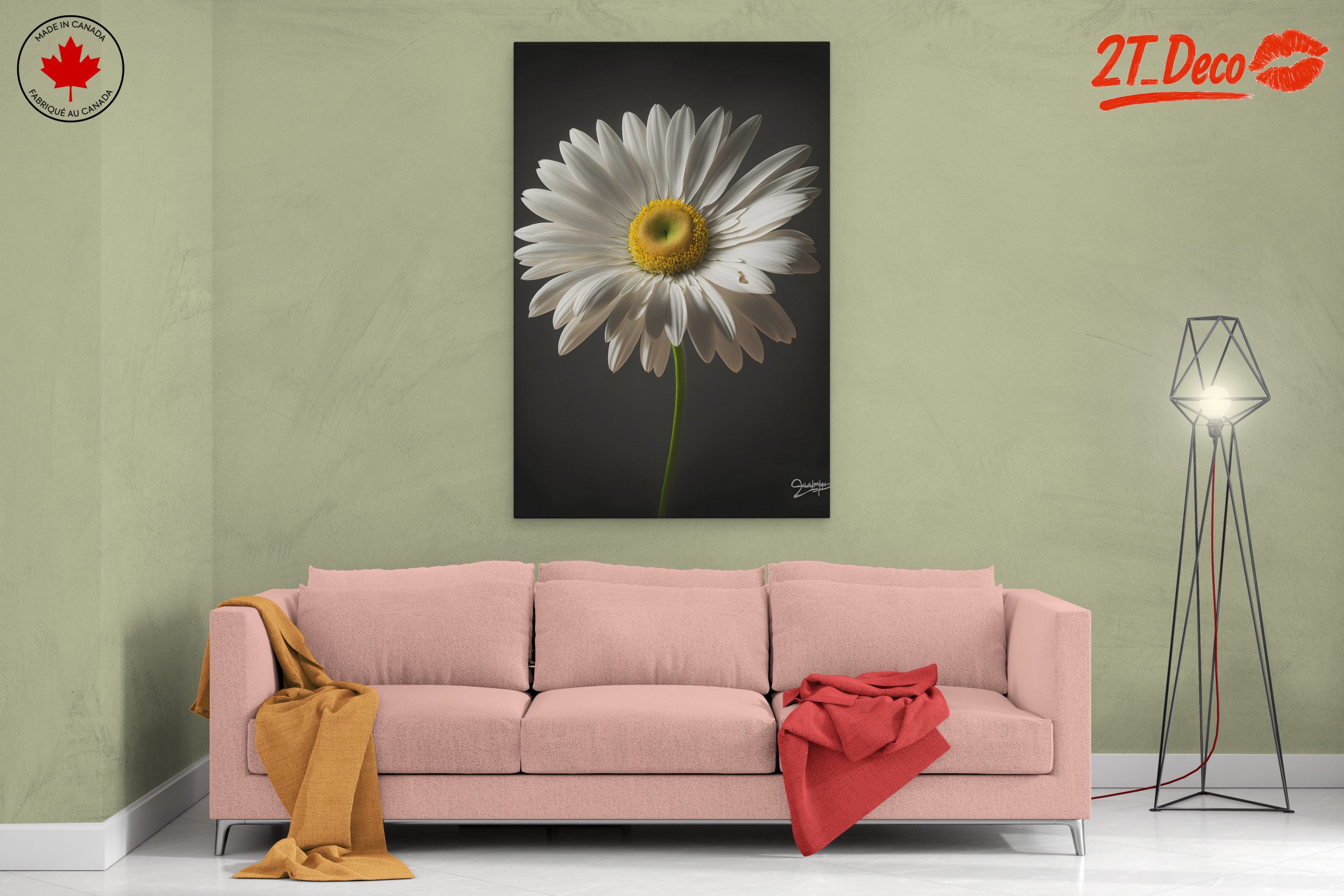 Elegant Floral Portrait Featuring a White Daisy - Image 2