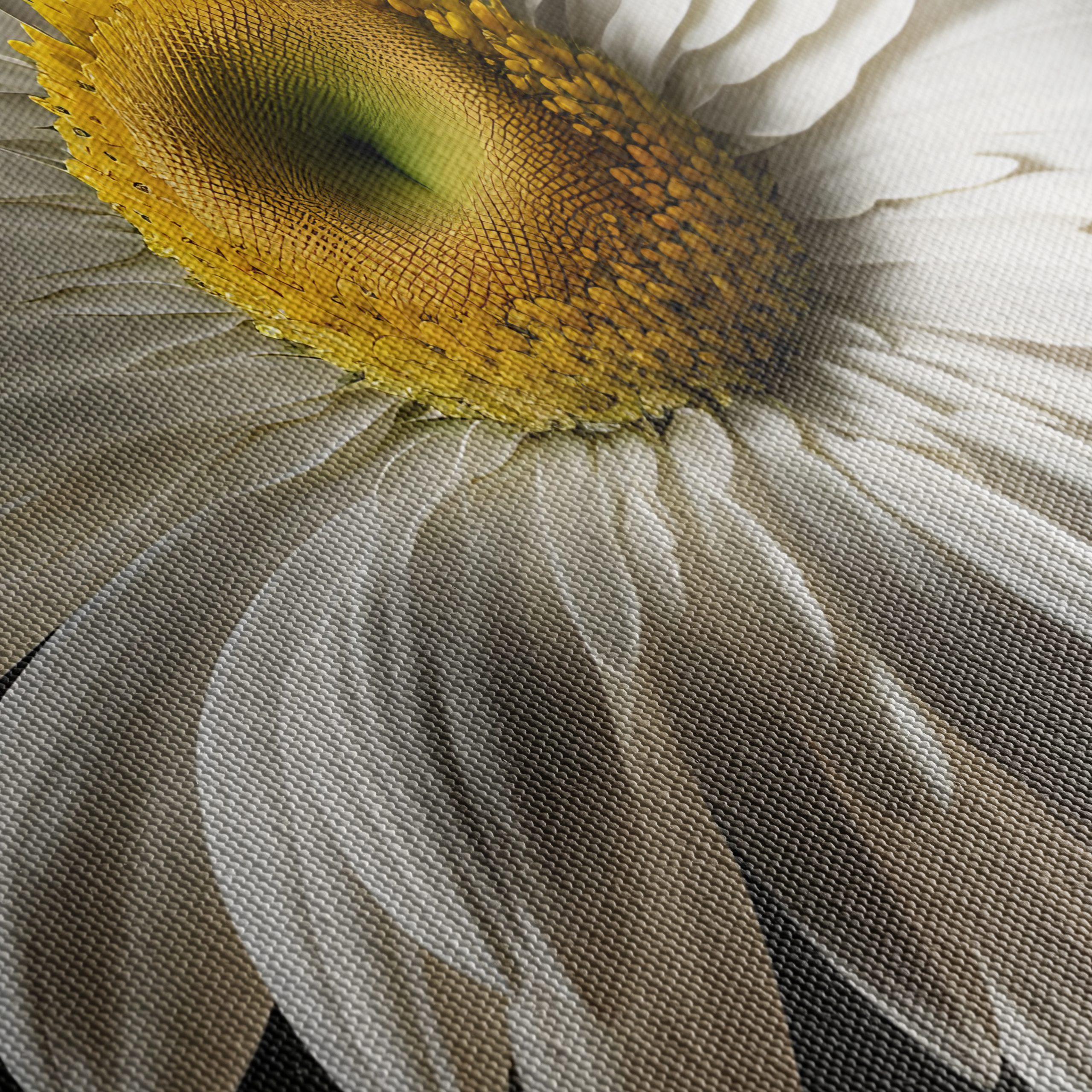 Elegant Floral Portrait Featuring a White Daisy - Image 5