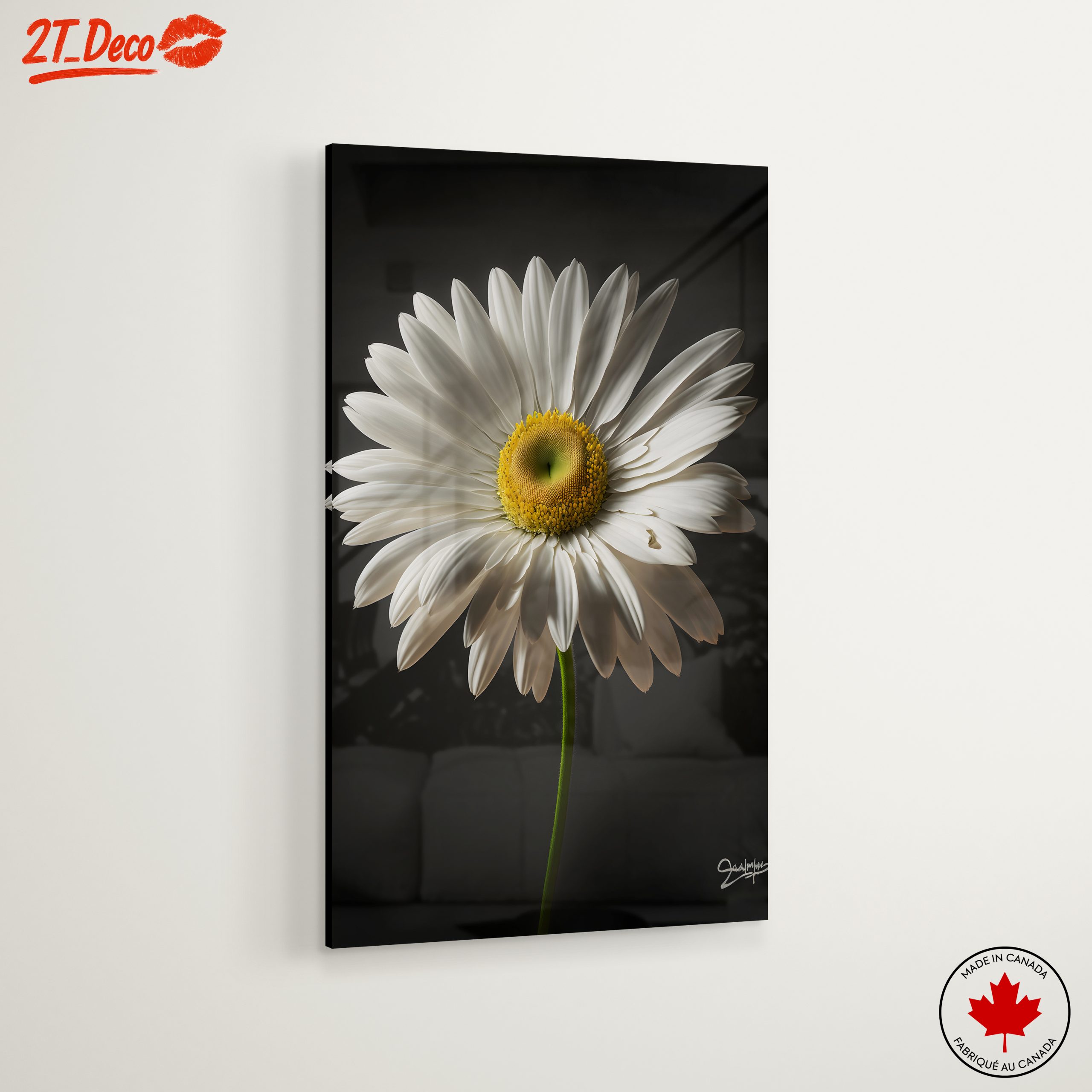 Elegant Floral Portrait Featuring a White Daisy - Image 6