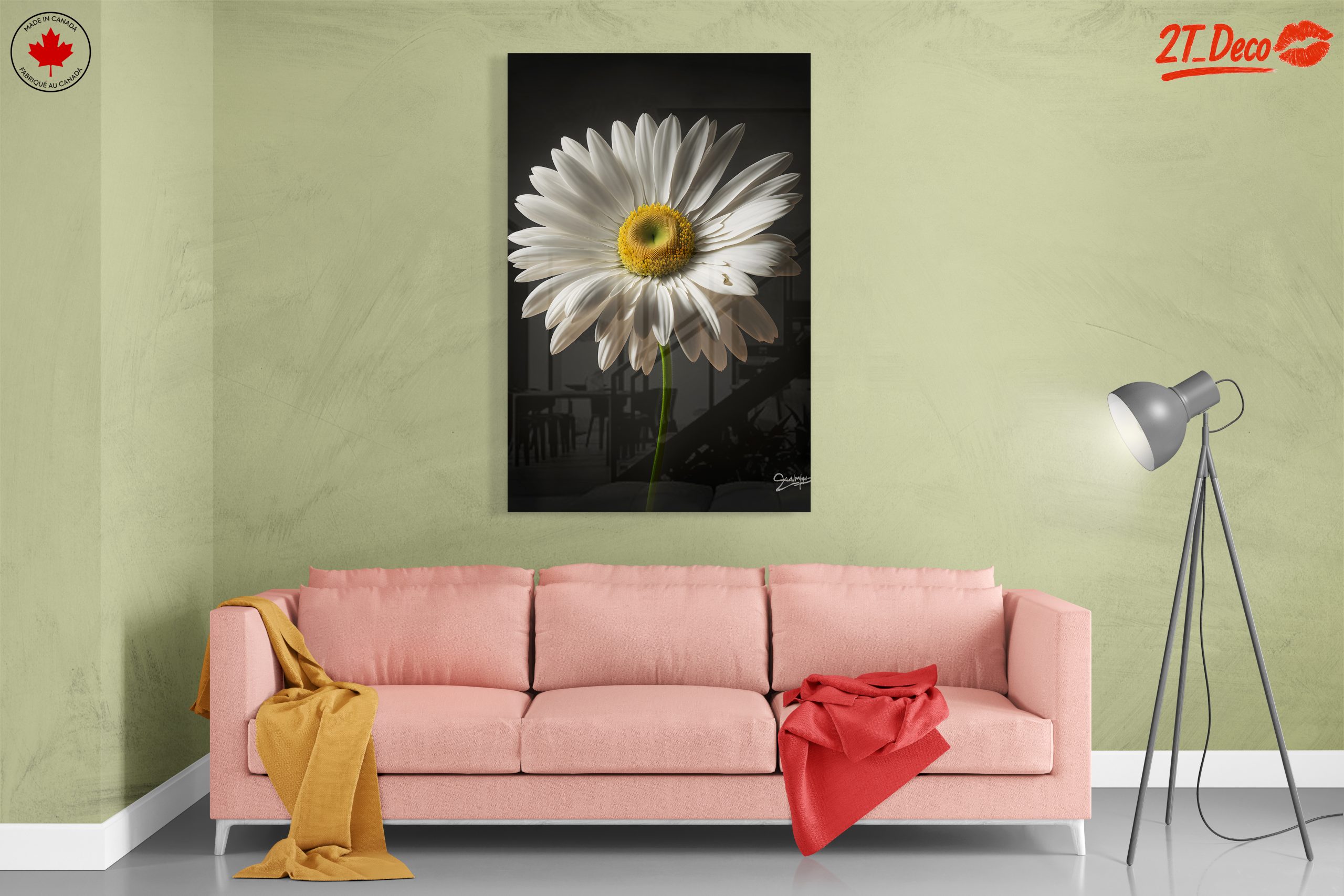 Elegant Floral Portrait Featuring a White Daisy - Image 7