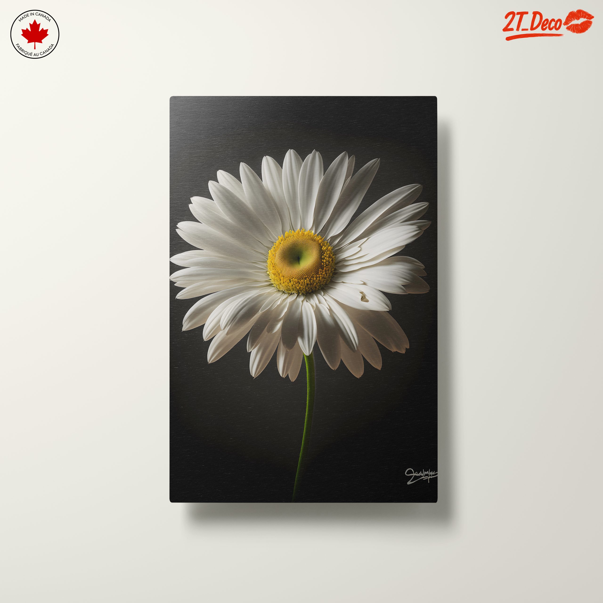 Elegant Floral Portrait Featuring a White Daisy - Image 10