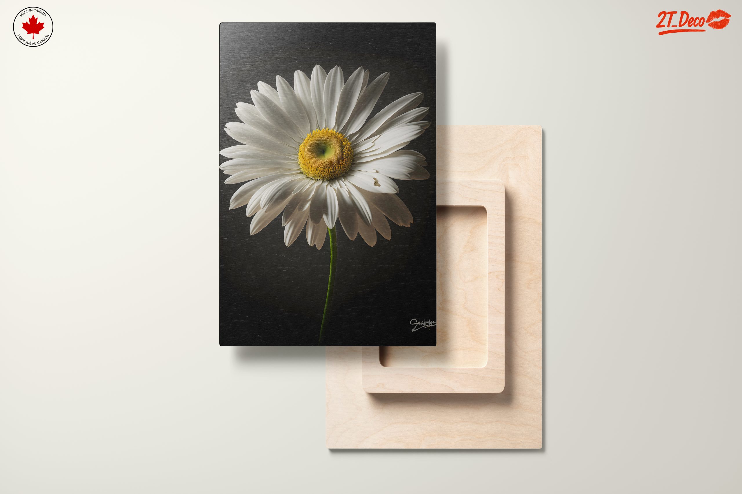 Elegant Floral Portrait Featuring a White Daisy - Image 11