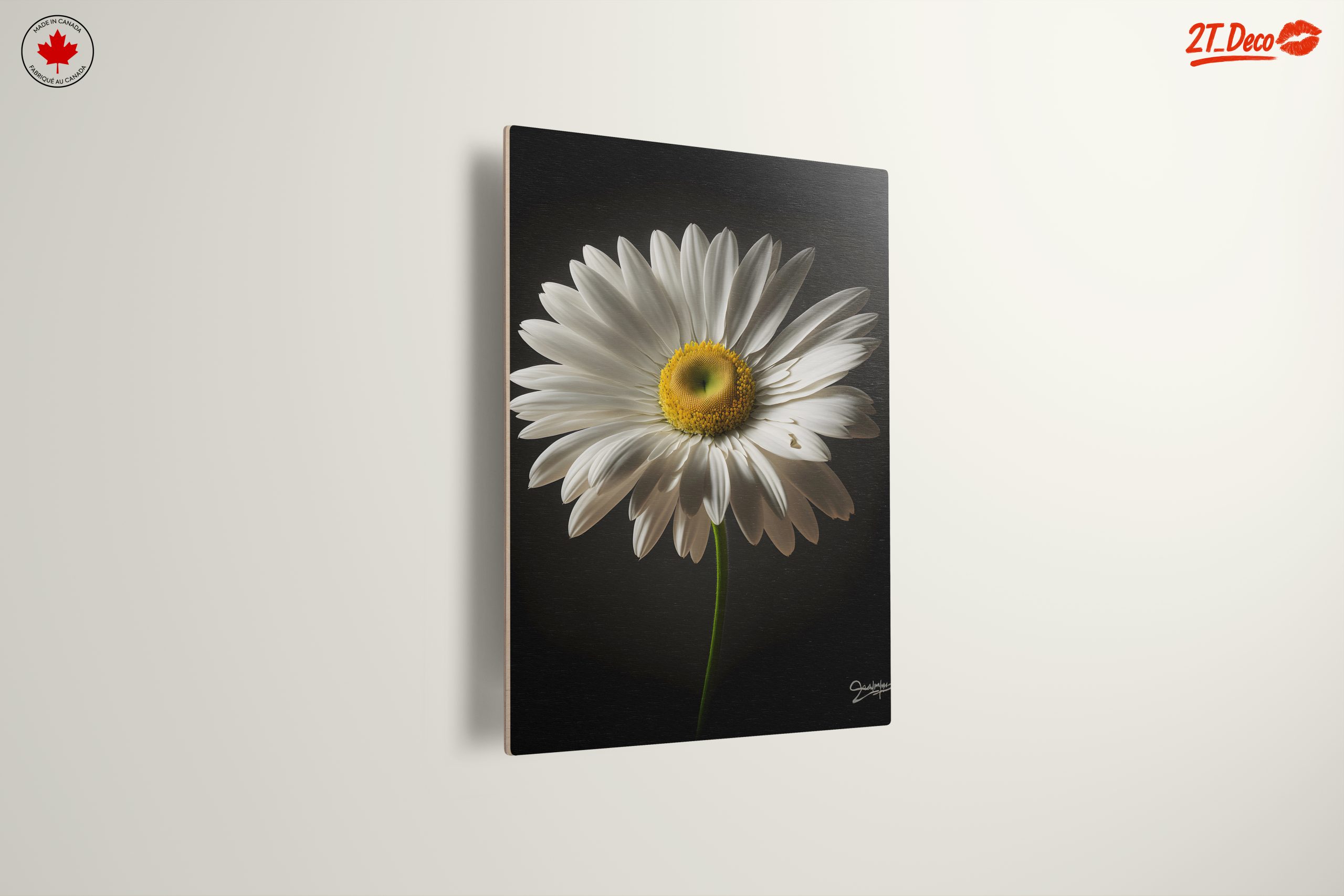 Elegant Floral Portrait Featuring a White Daisy - Image 13