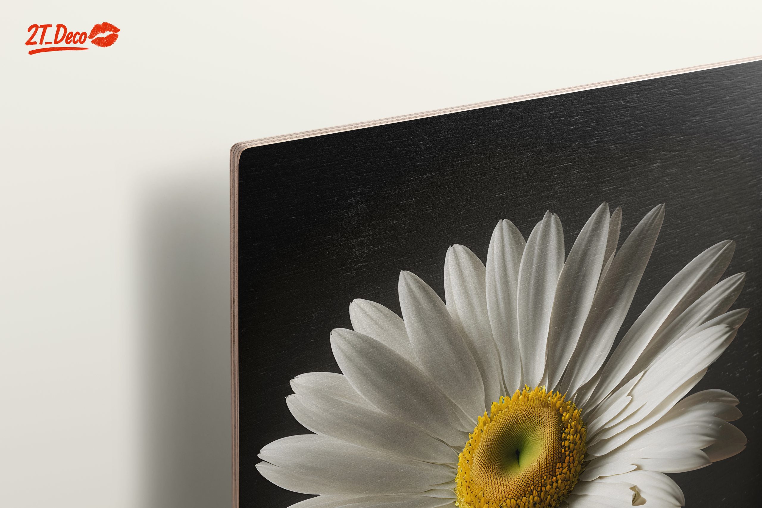 Elegant Floral Portrait Featuring a White Daisy - Image 15