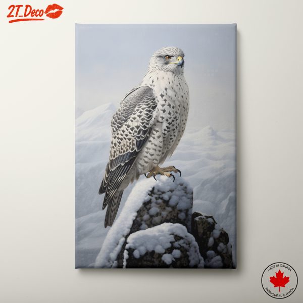 Majestic Hawk on Snowy Peak