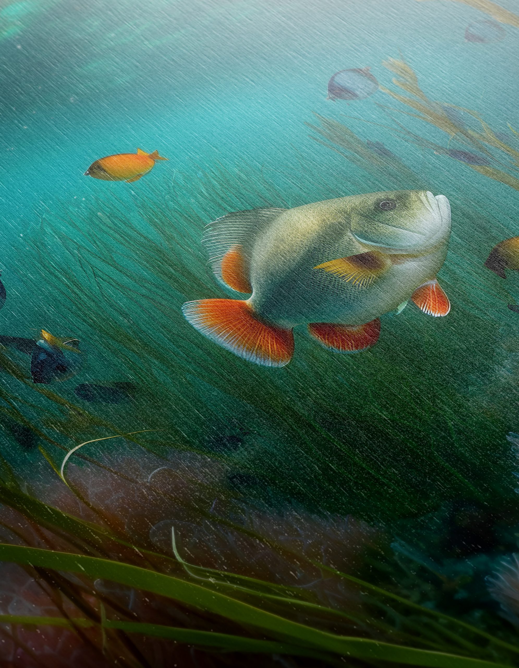 Vibrant Abstract Marine Life Underwater Art - Image 12