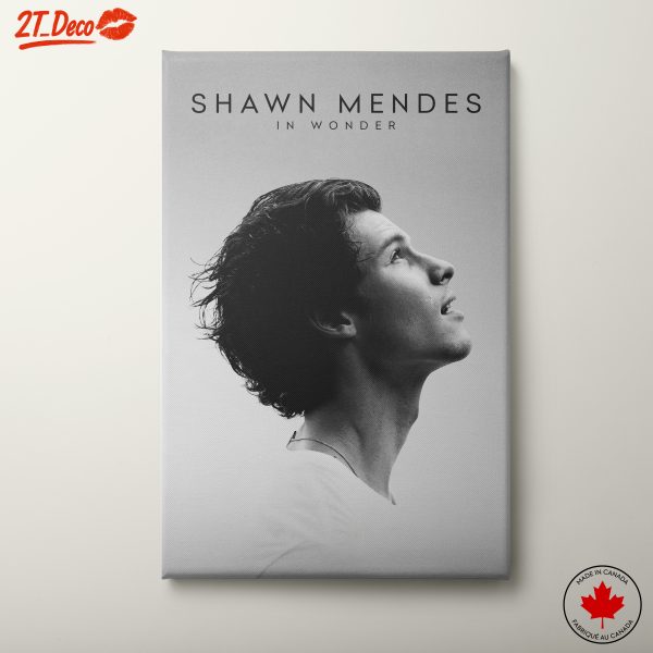 Shawn Mendes in Wonder Artwork