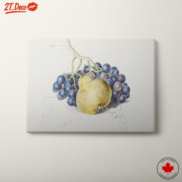 Stylized Abstract Food Composition 6