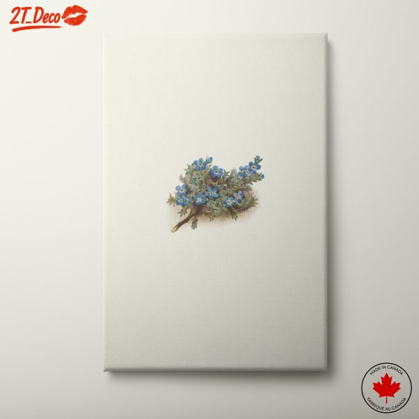 Delicate Blue Botanical Art