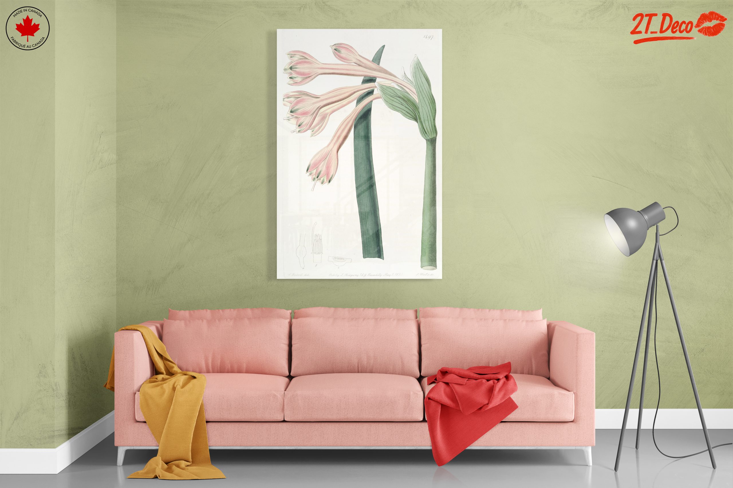 Detailed Botanical Illustration of Pink Flowers - Image 7