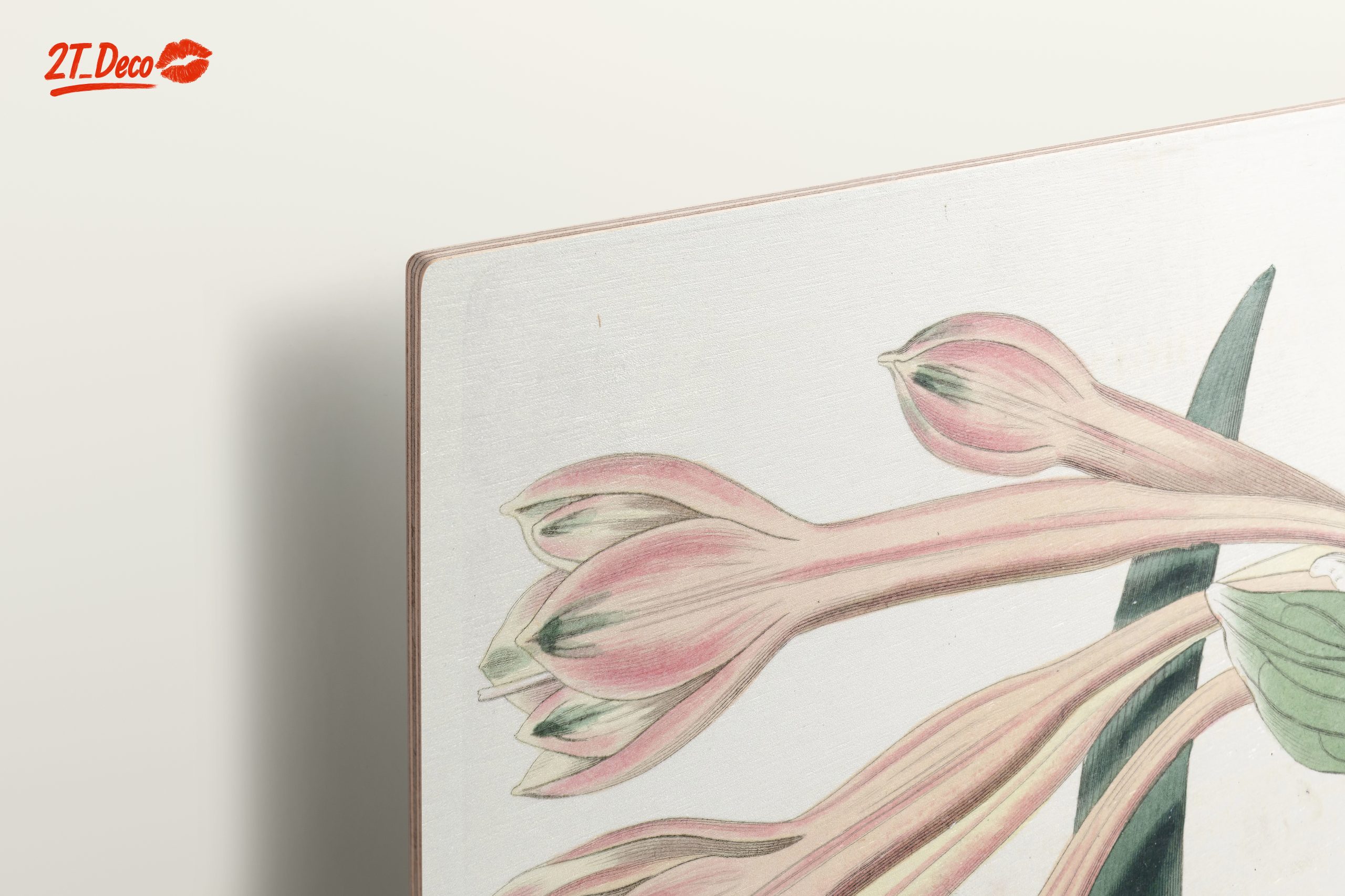 Detailed Botanical Illustration of Pink Flowers - Image 15
