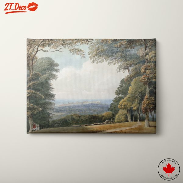 Serene Nature Landscape with Trees 2