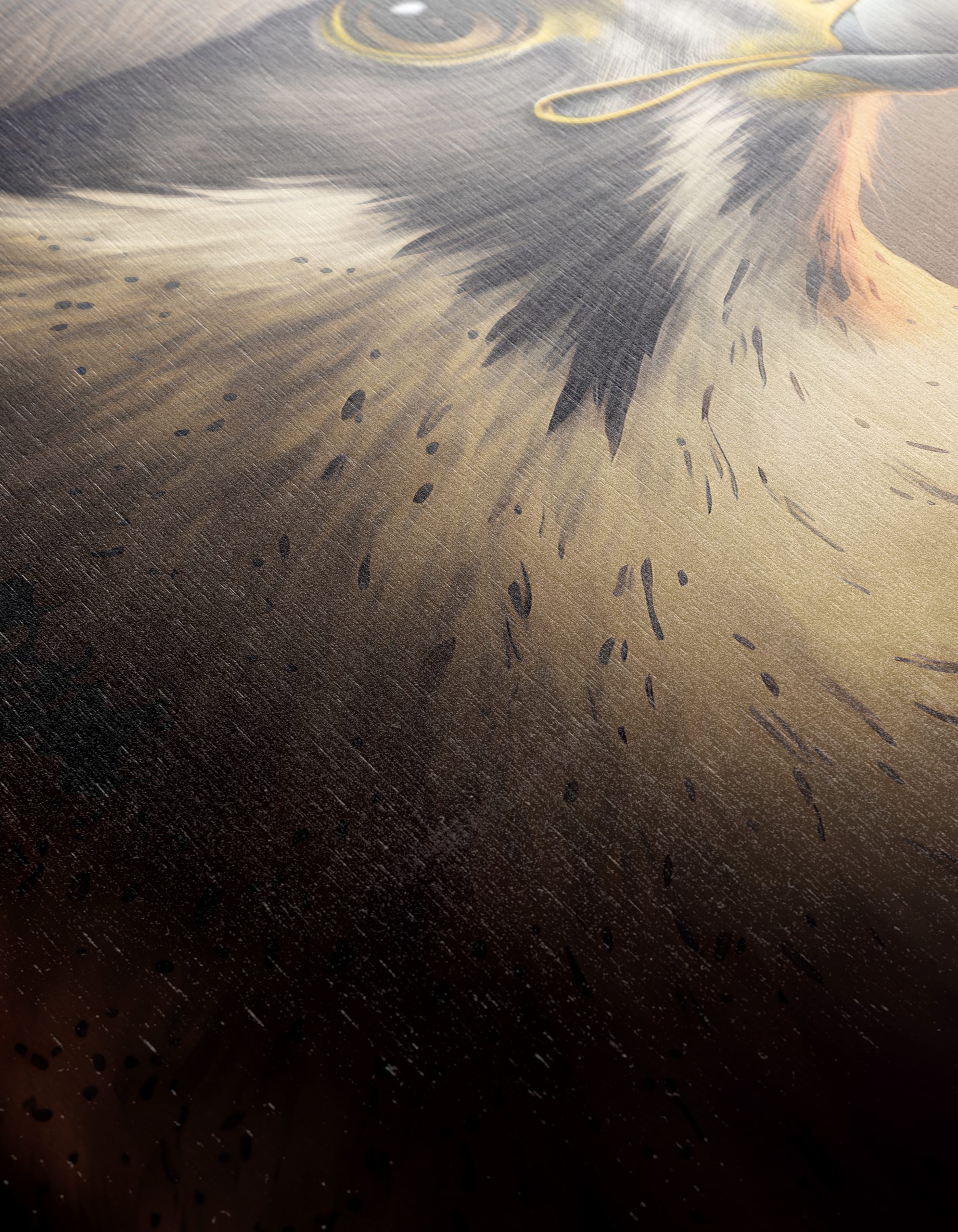 Majestic Portrait of a Hawk - Image 12