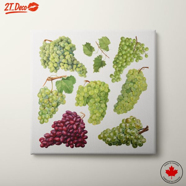 Stylized Grapes Abstract Art
