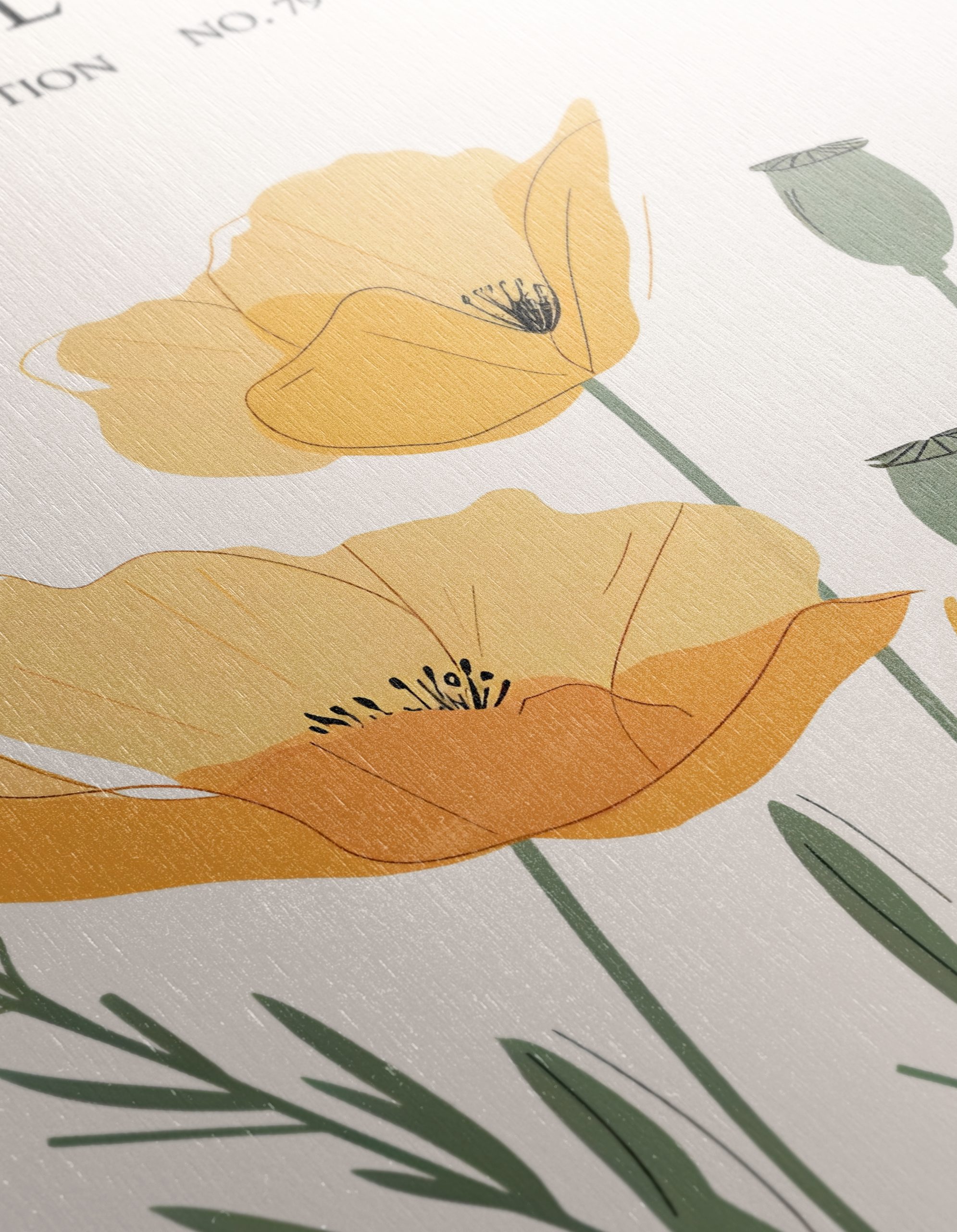 Stylized Botanical Artwork of Flowers - Image 12
