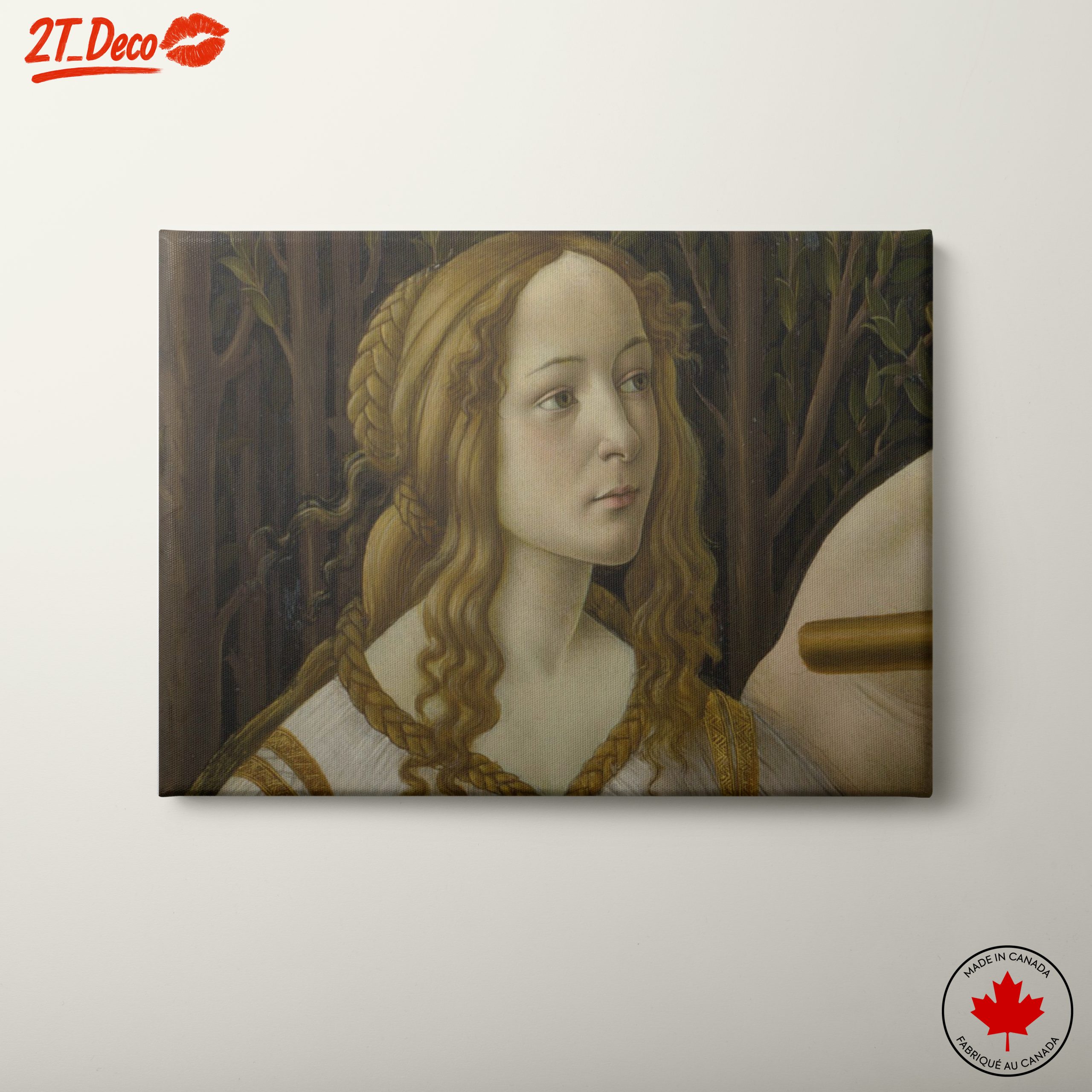 Classical Representation of a Noble Figure
