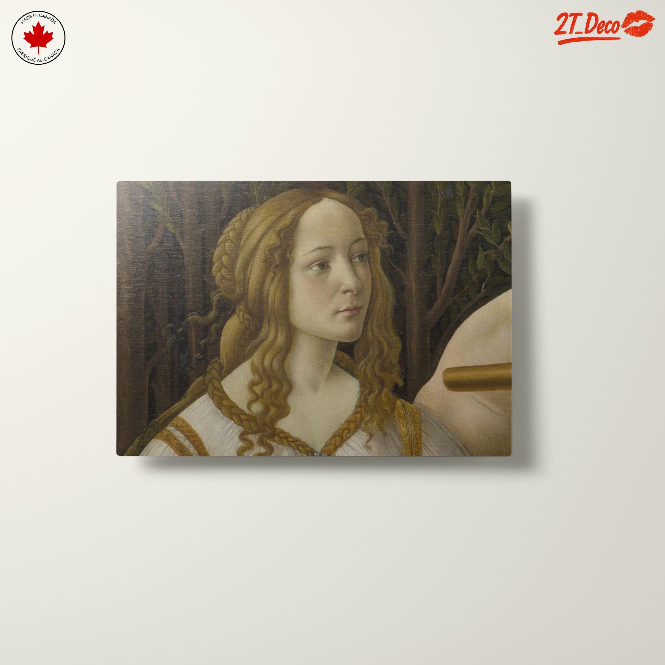Classical Representation of a Noble Figure - Image 10