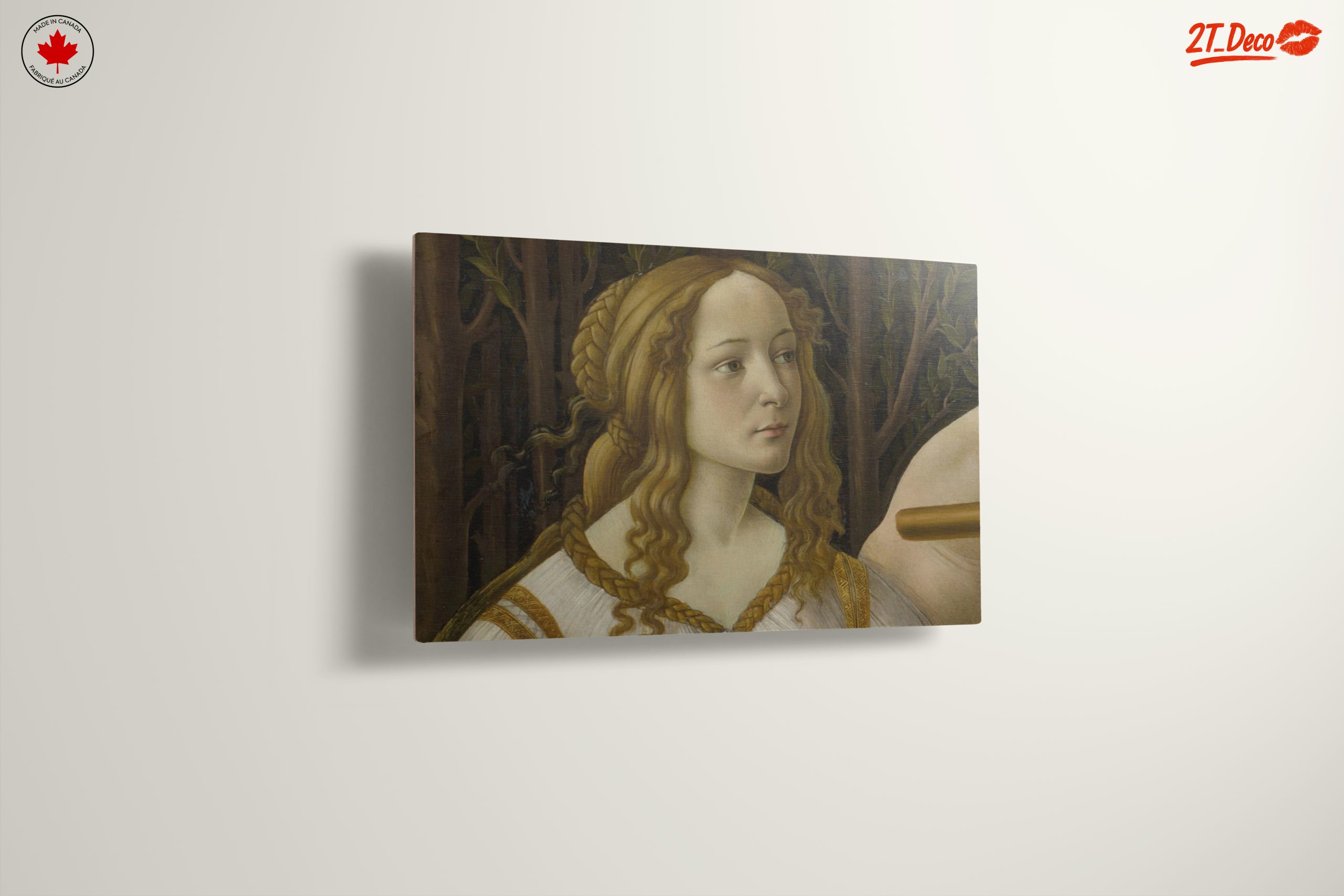 Classical Representation of a Noble Figure - Image 13