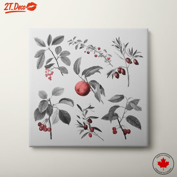 Charming Botanical Illustrations of Fruits and Leaves