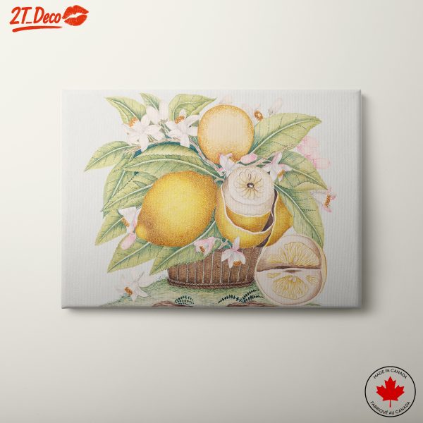 Lemon and Flowers Abstract Art
