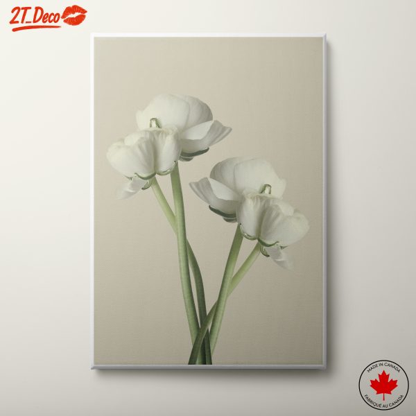 Minimalist White Floral Arrangement
