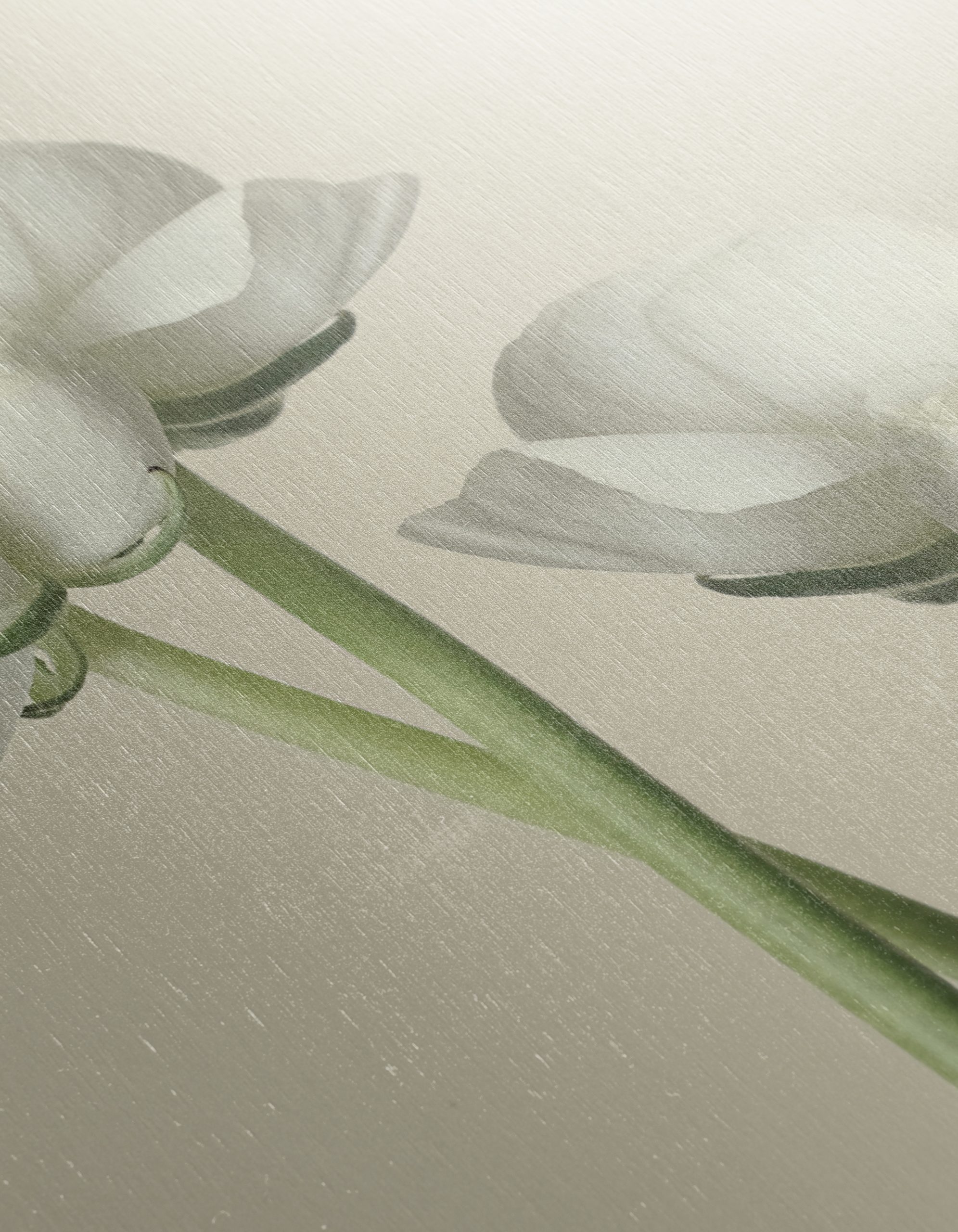 Minimalist White Floral Arrangement - Image 12