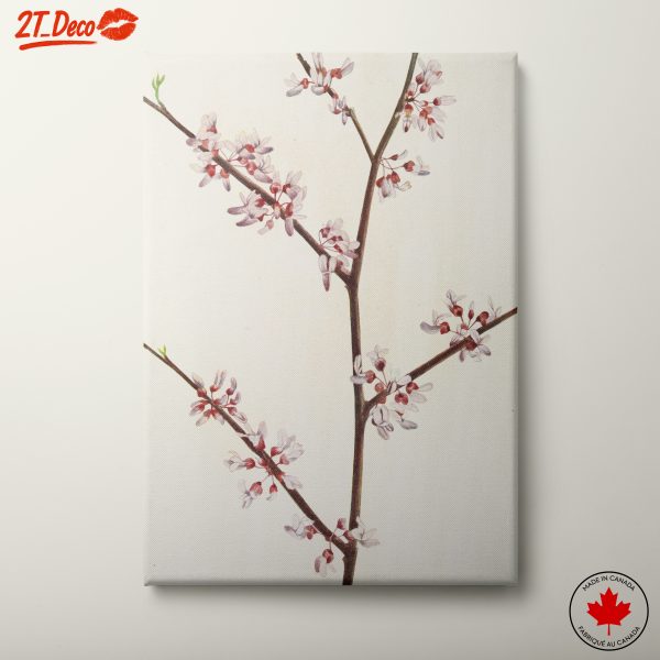 Delicate Botanical Flower Art 2