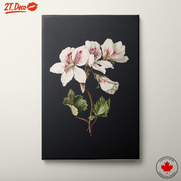 Elegant Botanical Flower Artwork