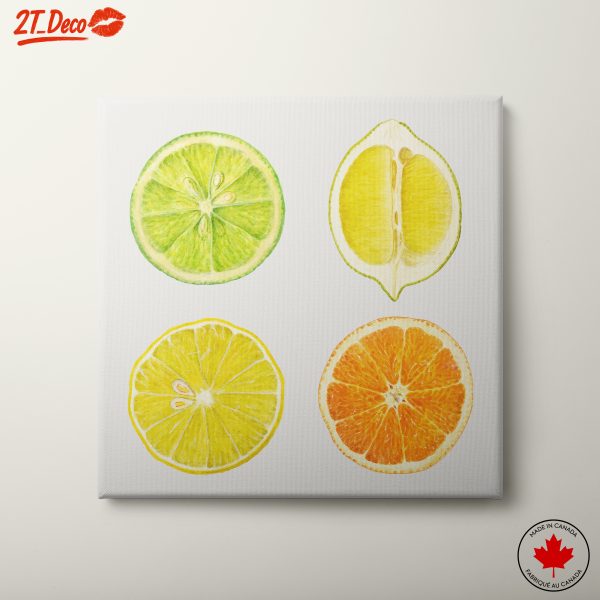 Citrus Fruits Abstract Artwork