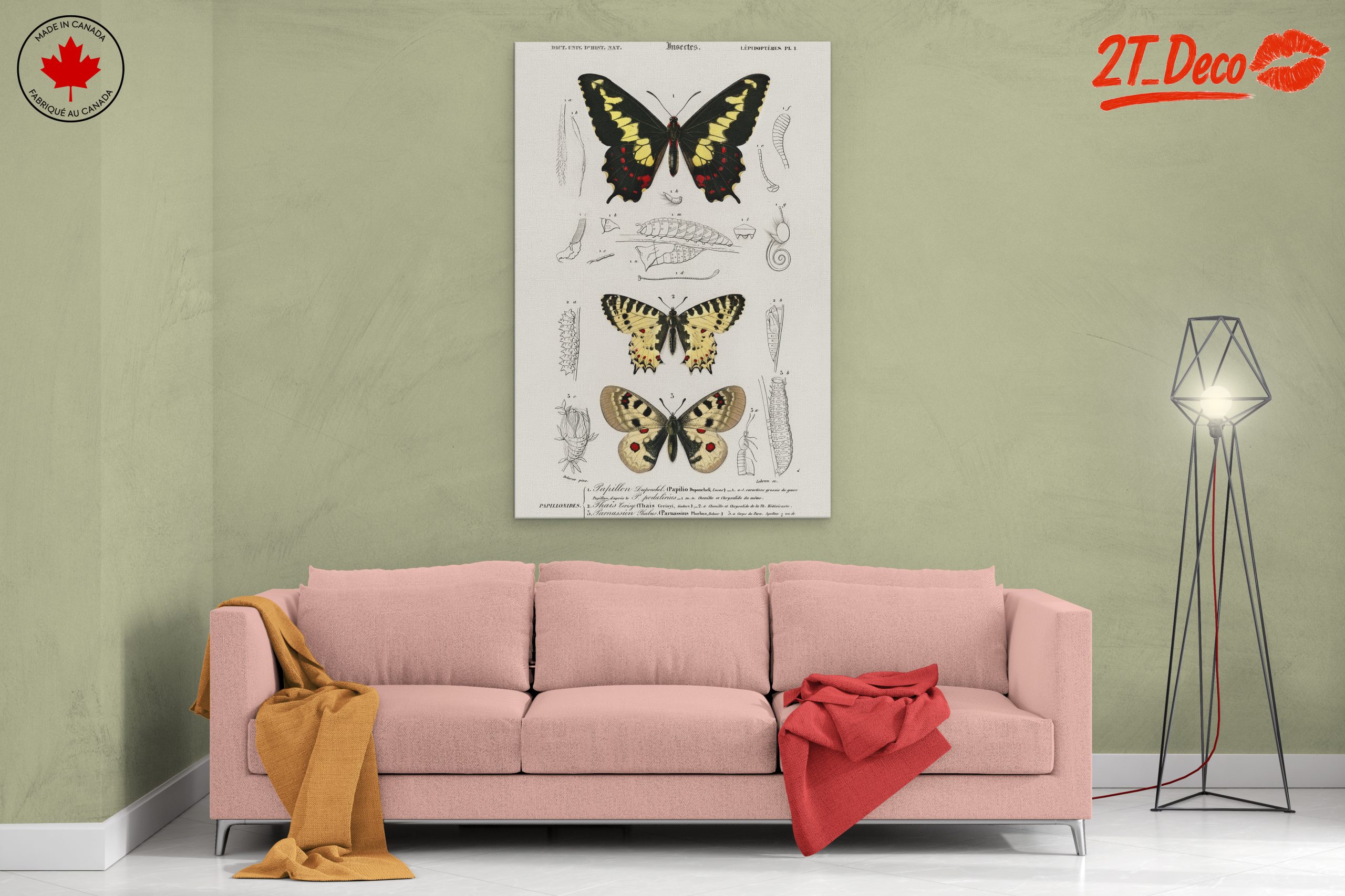 Detailed Insect Illustrations Featuring Butterflies - Image 2