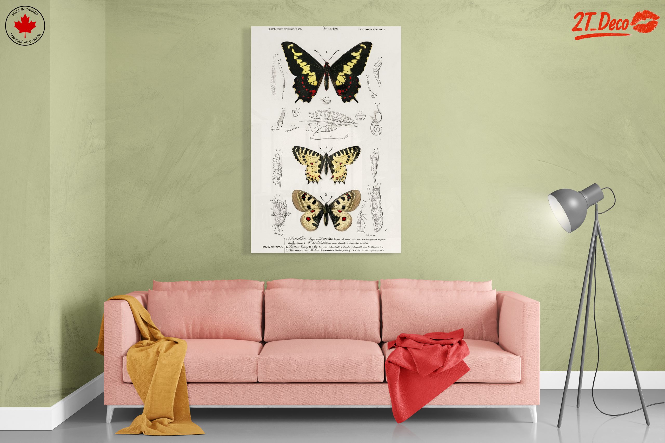 Detailed Insect Illustrations Featuring Butterflies - Image 7