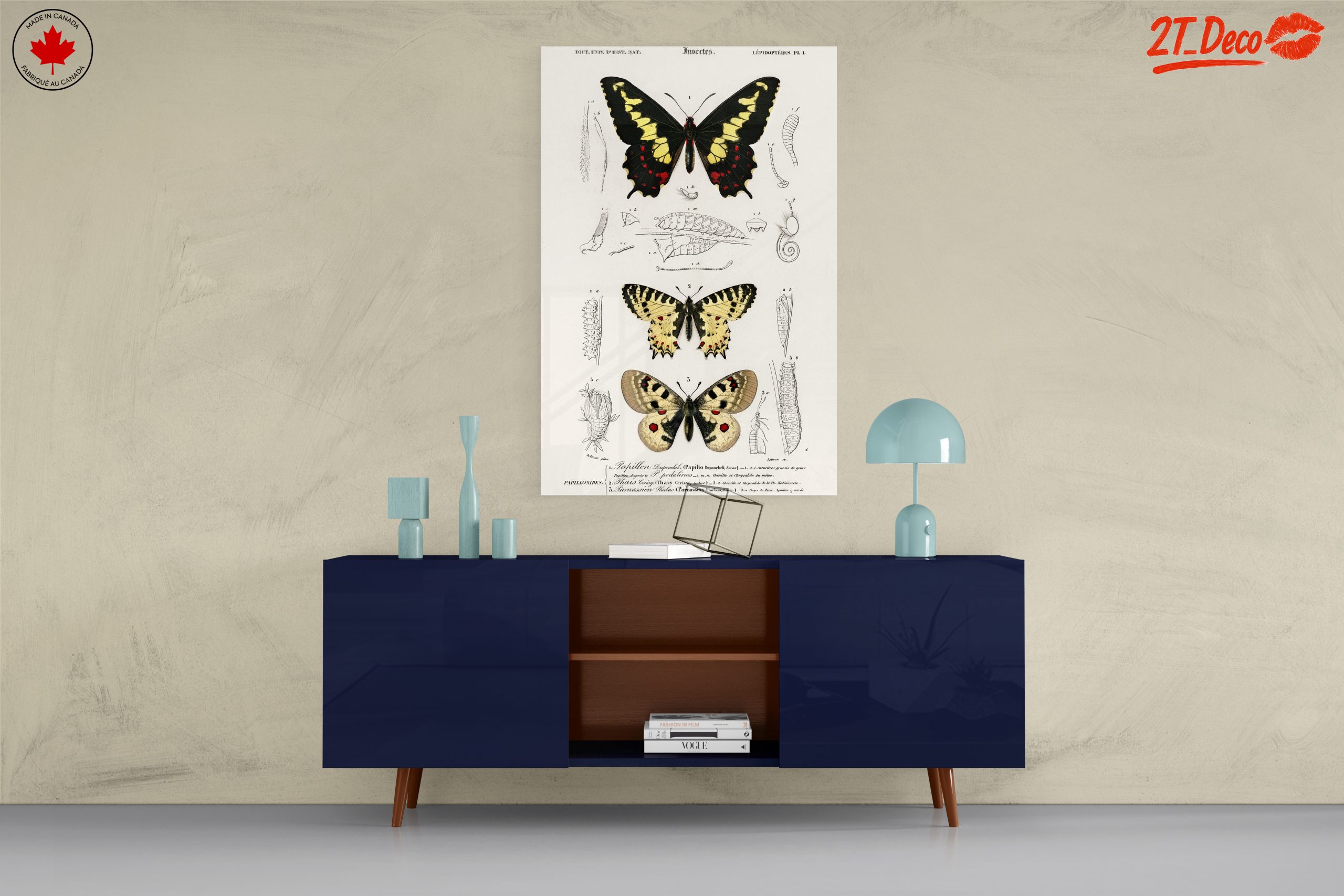 Detailed Insect Illustrations Featuring Butterflies - Image 8