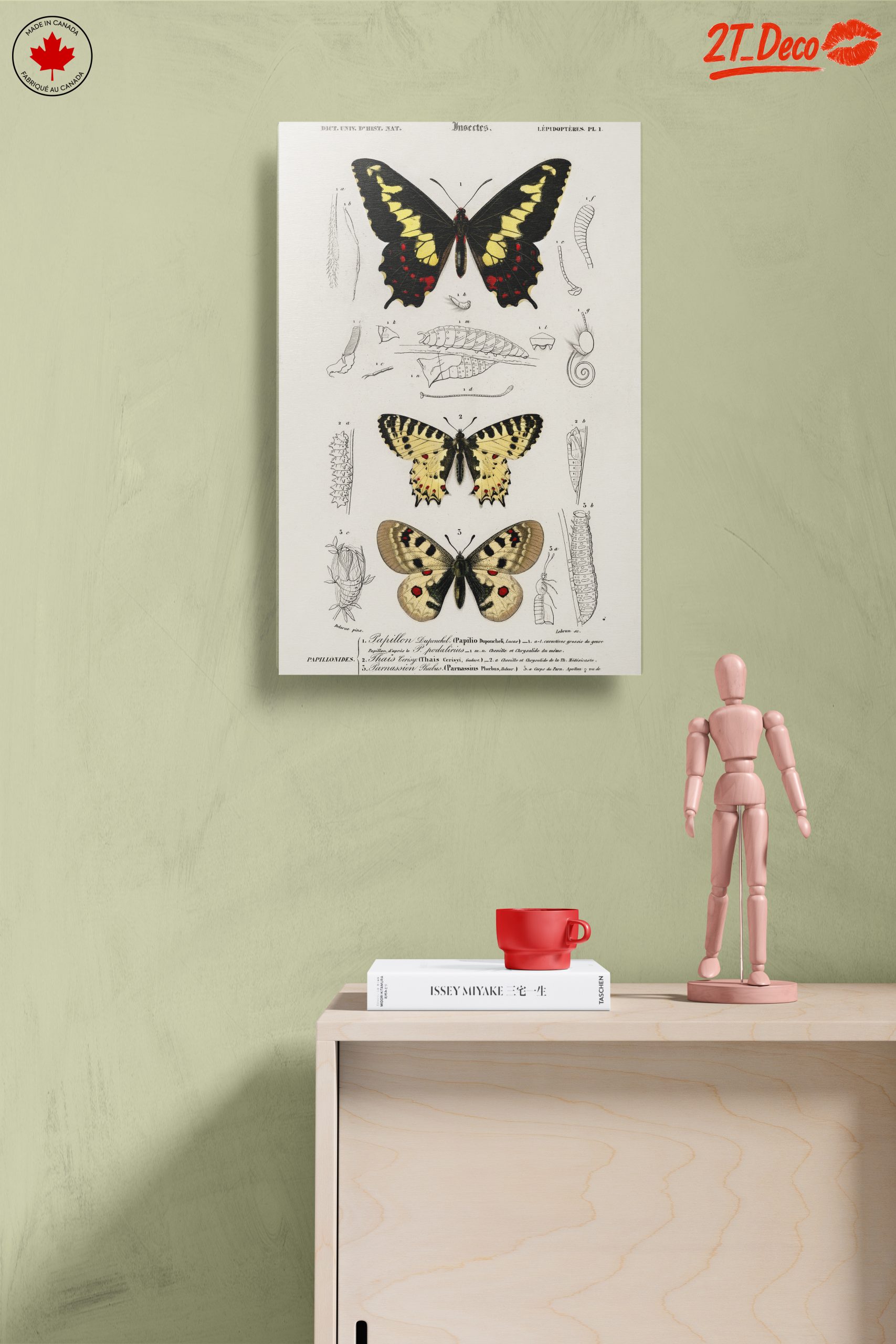 Detailed Insect Illustrations Featuring Butterflies - Image 14